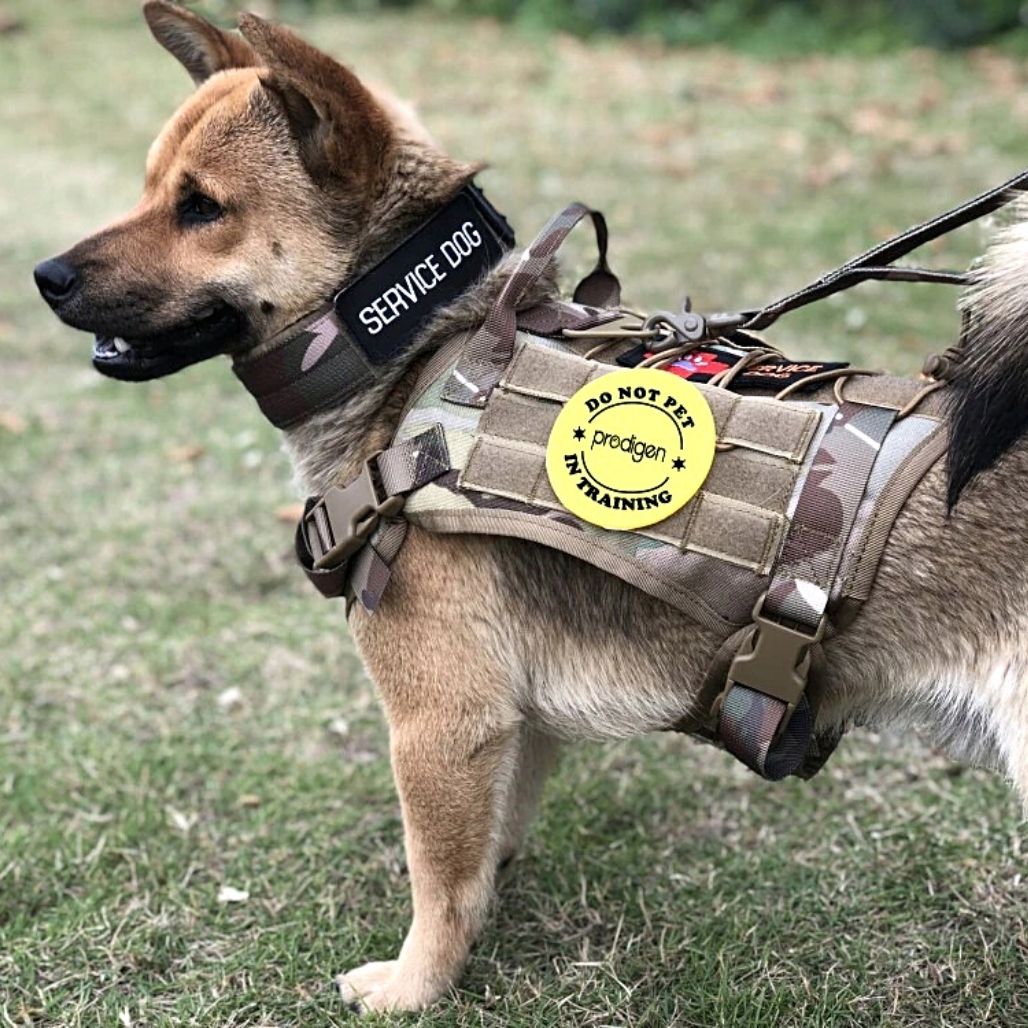 PawGuard | Ergonomisches Sicherheitsgeschirr für Hunde - Brezella