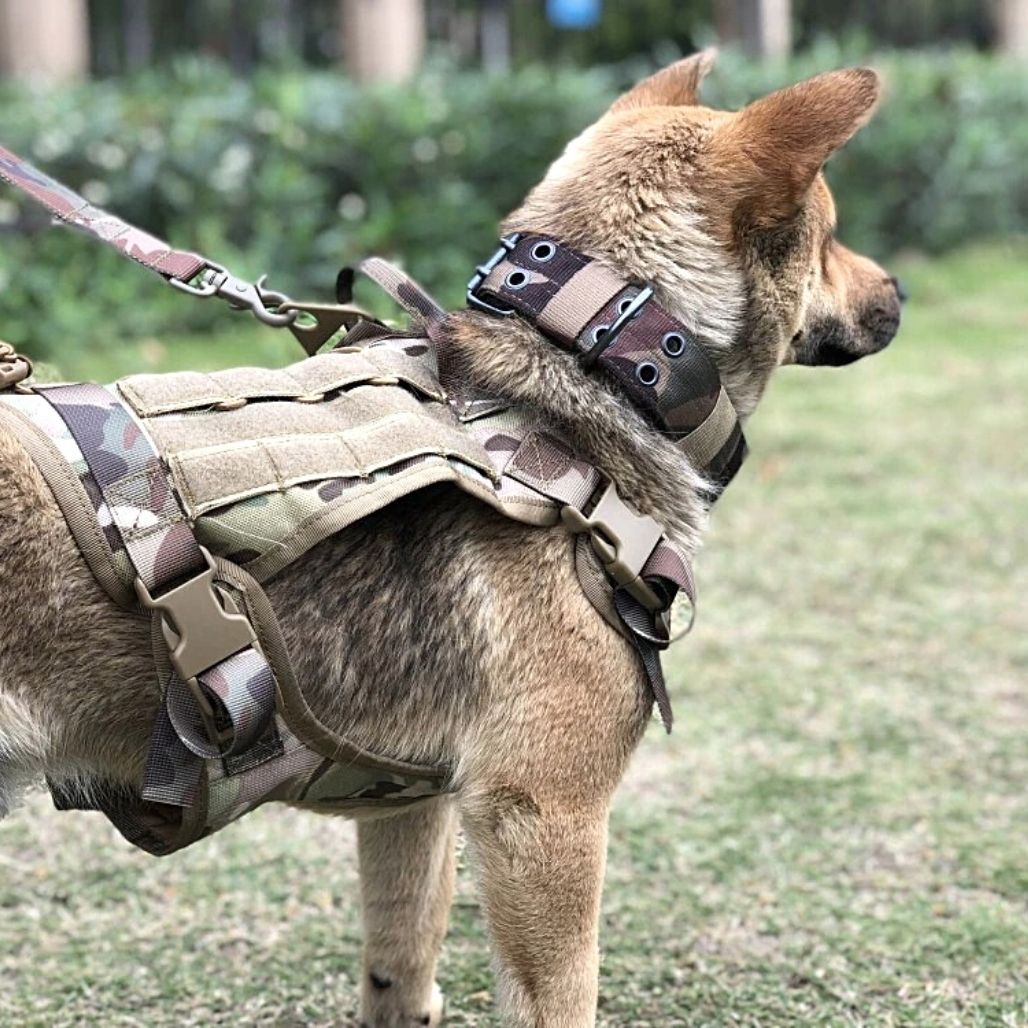 PawGuard | Ergonomisches Sicherheitsgeschirr für Hunde - Brezella
