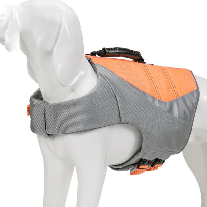 FloaterBuddy | Das perfekte Schwimmweste für Haustiere - Brezella
