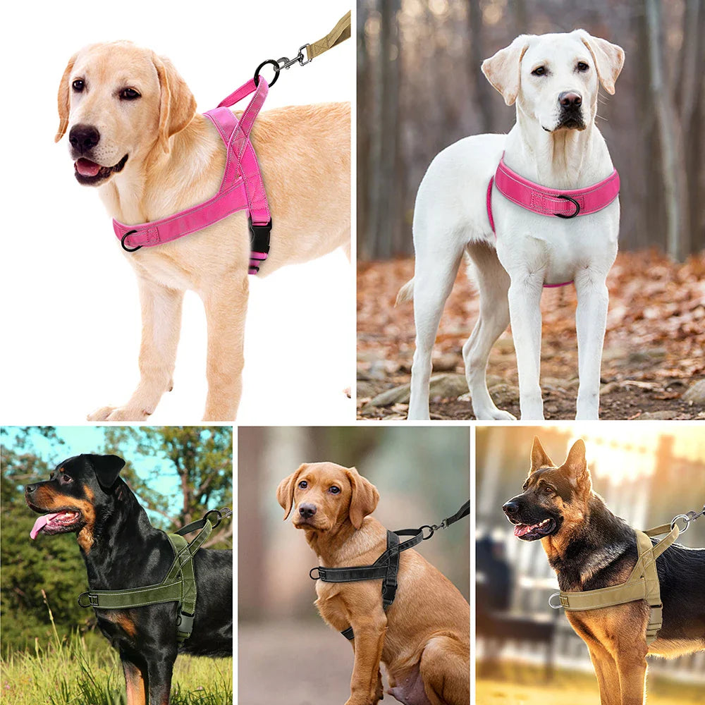 NylonGuard | Verstellbares Geschirr für Mittlere & Kleine Hunde - Brezella