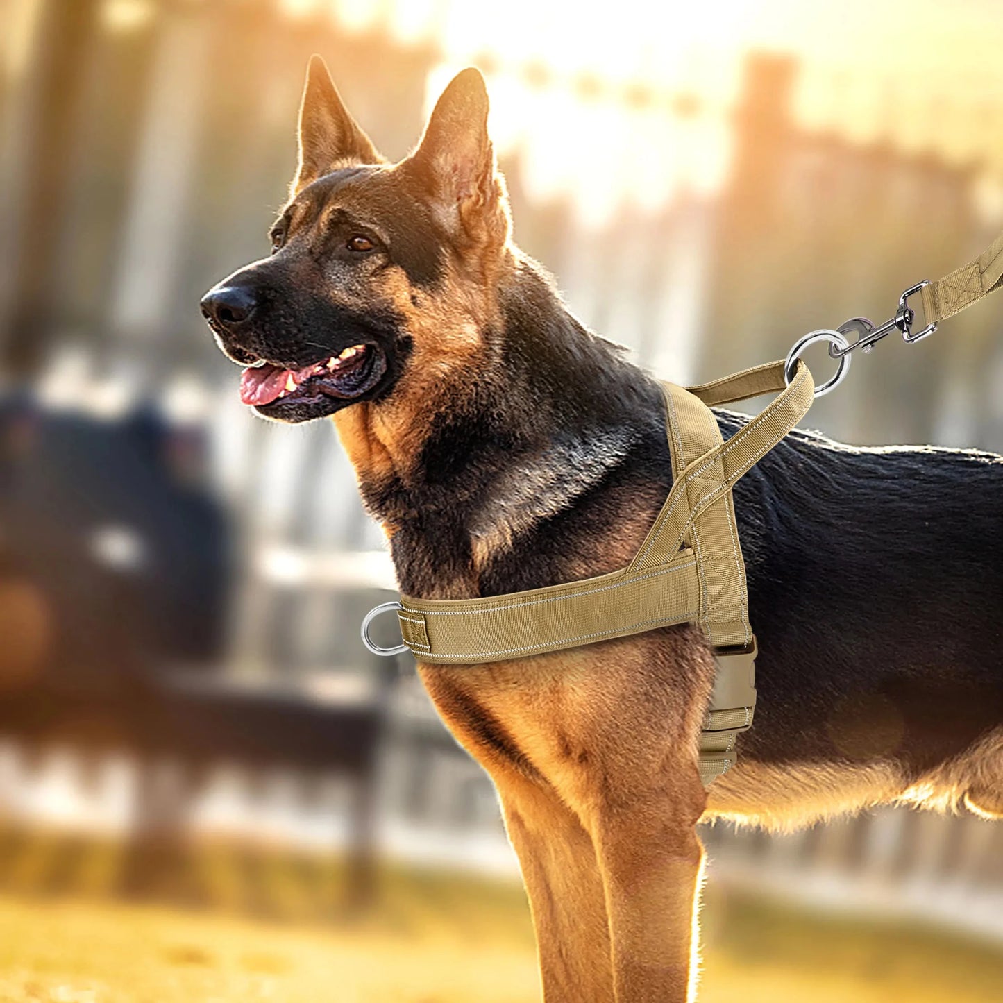 NylonGuard | Verstellbares Geschirr für Mittlere & Kleine Hunde - Brezella