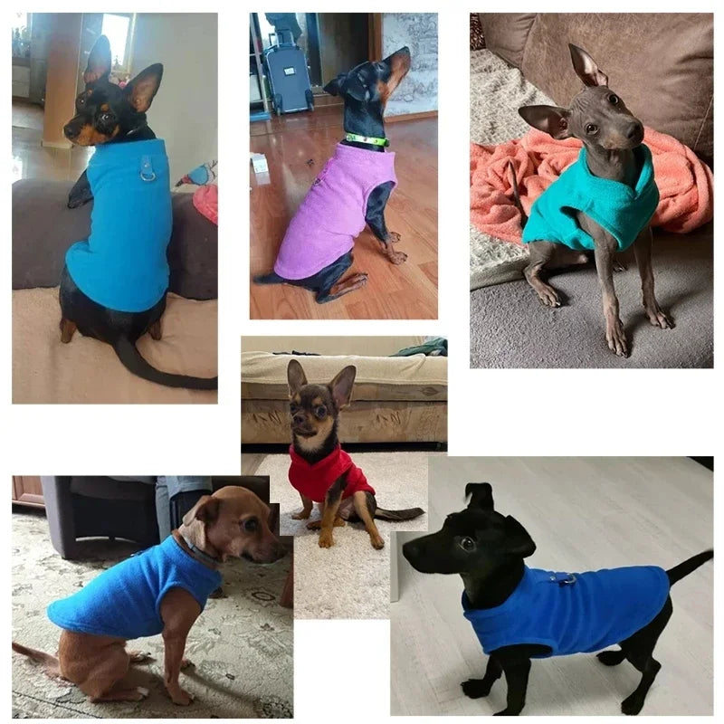 SnugPaw | Weiche und bequeme Fleecejacke für kleine Rassen