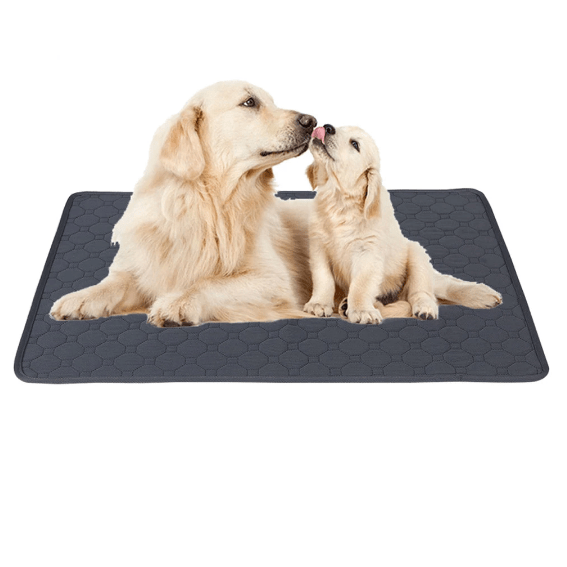 DryPaws | Saugfähige Trainingsmatte für Hunde