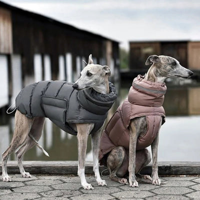 PawGuard | Perfekter Schutz für Haustierfüße - Brezella
