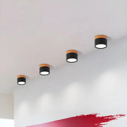LumiNord | Elegante LED-Deckenlampe im nordischen Look - Brezella