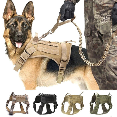 PawGuard | Ergonomisches Sicherheitsgeschirr für Hunde - Brezella