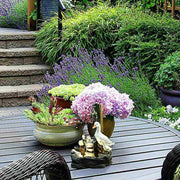 EntenOase | Dekorative Gartenbrunnen mit Entenfamilie - Brezella