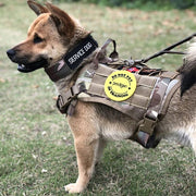 PawGuard | Ergonomisches Sicherheitsgeschirr für Hunde - Brezella