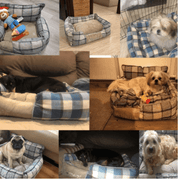 PawPad | Tragbares Hunde- und Katzenbett für alle Jahreszeiten - Brezella