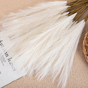 SanftGlanz | Stilvolle Flauschige Pampas Deko - Brezella