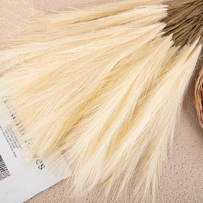 SanftGlanz | Stilvolle Flauschige Pampas Deko