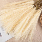 SanftGlanz | Stilvolle Flauschige Pampas Deko - Brezella