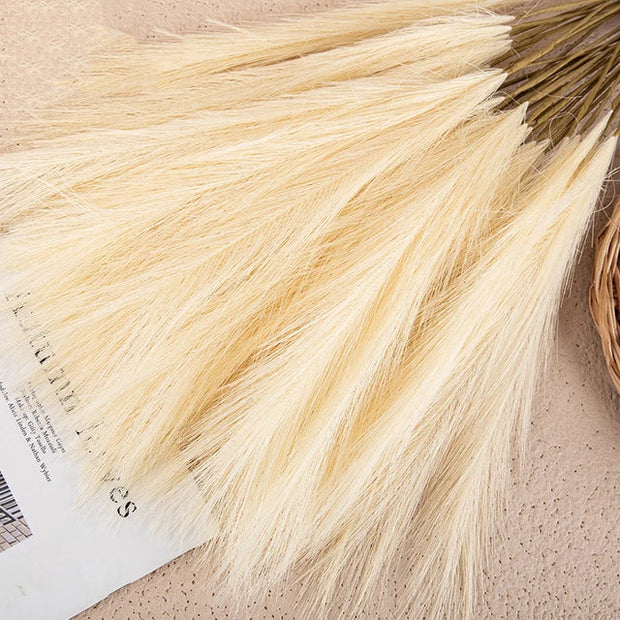 SanftGlanz | Stilvolle Flauschige Pampas Deko - Brezella