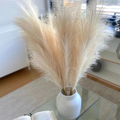 SanftGlanz | Stilvolle Flauschige Pampas Deko - Brezella