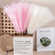 SanftGlanz | Stilvolle Flauschige Pampas Deko - Brezella