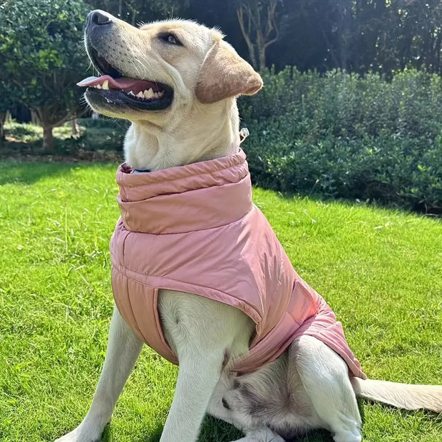 PawGuard | Perfekter Schutz für Haustierfüße - Brezella