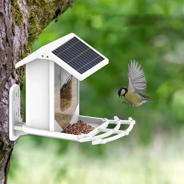NaturFutter | Fortschrittliches Vogelhaus mit Artenerkennung - Brezella