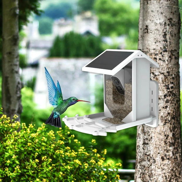 NaturFutter | Fortschrittliches Vogelhaus mit Artenerkennung - Brezella