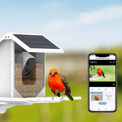 NaturFutter | Fortschrittliches Vogelhaus mit Artenerkennung - Brezella