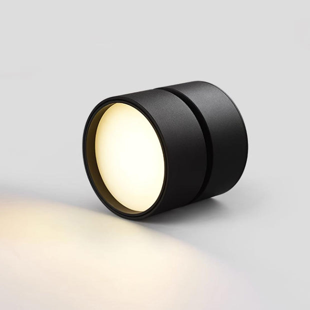 LumenFlex | Deckenlampe mit Flexibler Lichtsteuerung - Brezella