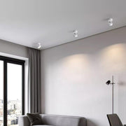 LumenFlex | Deckenlampe mit Flexibler Lichtsteuerung - Brezella