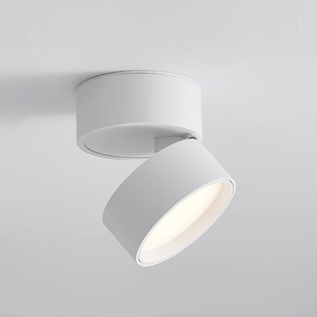LumenFlex | Deckenlampe mit Flexibler Lichtsteuerung - Brezella