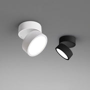 LumenFlex | Deckenlampe mit Flexibler Lichtsteuerung - Brezella