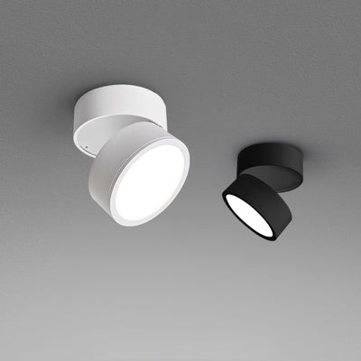 LumenFlex | Deckenlampe mit Flexibler Lichtsteuerung - Brezella