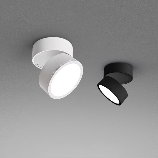 LumenFlex | Deckenlampe mit Flexibler Lichtsteuerung - Brezella
