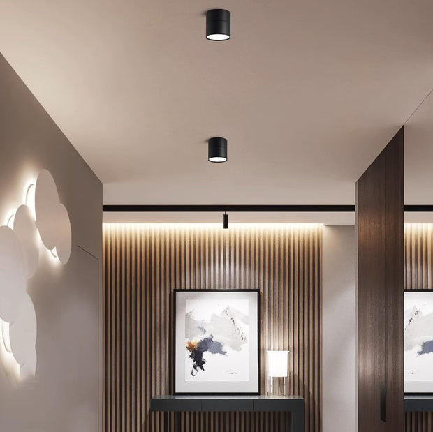LumenFlex | Deckenlampe mit Flexibler Lichtsteuerung - Brezella