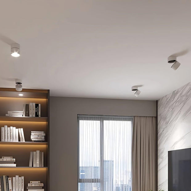 LumenFlex | Deckenlampe mit Flexibler Lichtsteuerung - Brezella