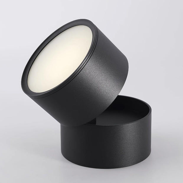 LumenFlex | Deckenlampe mit Flexibler Lichtsteuerung - Brezella