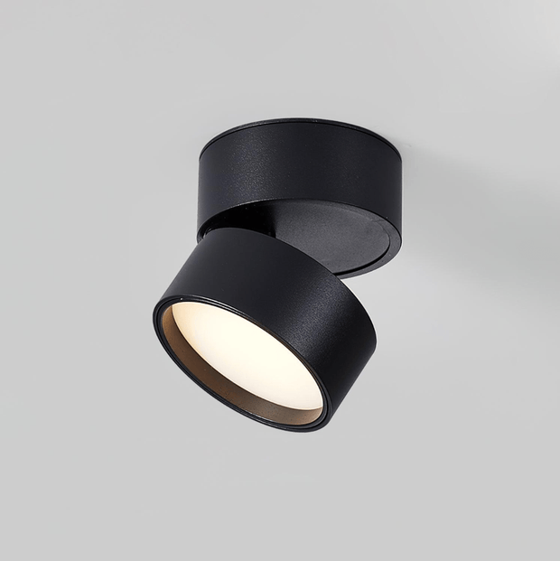 LumenFlex | Deckenlampe mit Flexibler Lichtsteuerung - Brezella