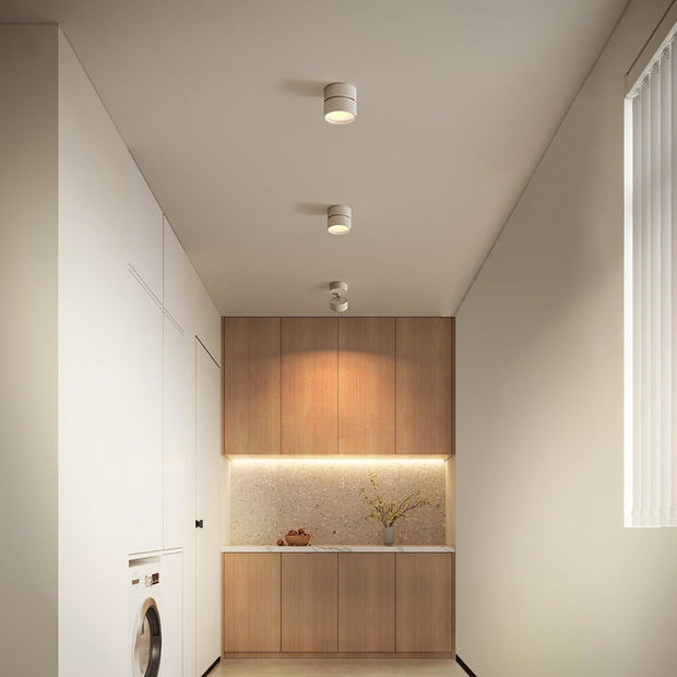 LumenFlex | Deckenlampe mit Flexibler Lichtsteuerung - Brezella