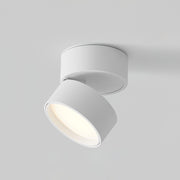 LumenFlex | Deckenlampe mit Flexibler Lichtsteuerung - Brezella