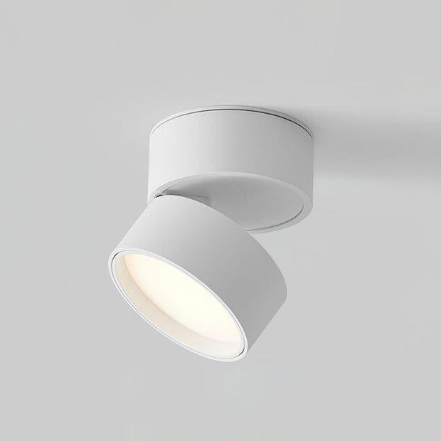 LumenFlex | Deckenlampe mit Flexibler Lichtsteuerung - Brezella