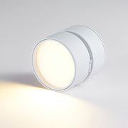 LumenFlex | Deckenlampe mit Flexibler Lichtsteuerung - Brezella