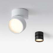 LumenFlex | Deckenlampe mit Flexibler Lichtsteuerung - Brezella