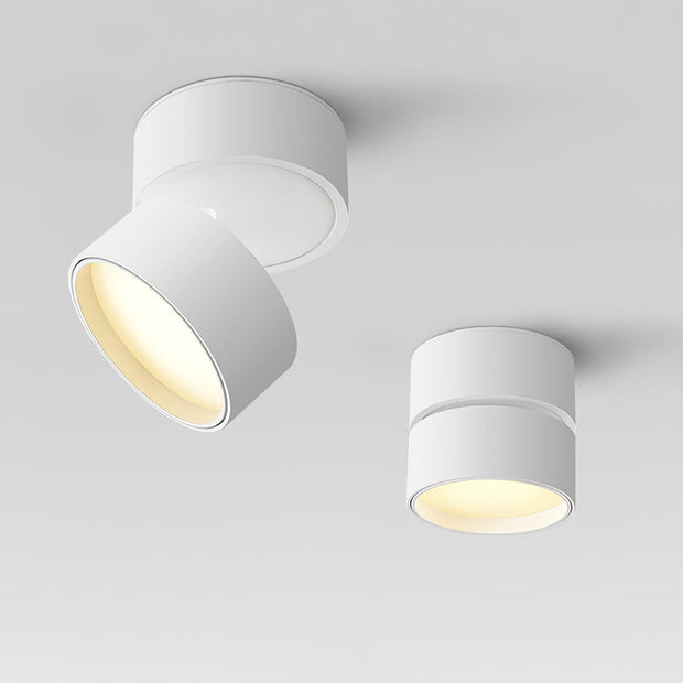 LumenFlex | Deckenlampe mit Flexibler Lichtsteuerung - Brezella