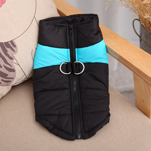 ChillCoat | Stylische und isolierende Winterweste für kleine und große Hunde - Brezella