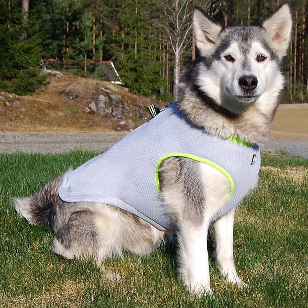 FurGuard | Temperaturempfindliche Messung für Tiere - Brezella