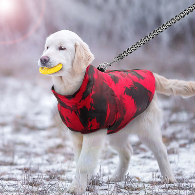 PawChic | Stilvolle Wintermode für deine Fellfreunde - Brezella