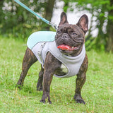 CoolBuddy | Hundekühlbox für heiße Tage - Brezella