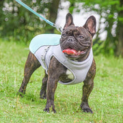 CoolBuddy | Hundekühlbox für heiße Tage - Brezella