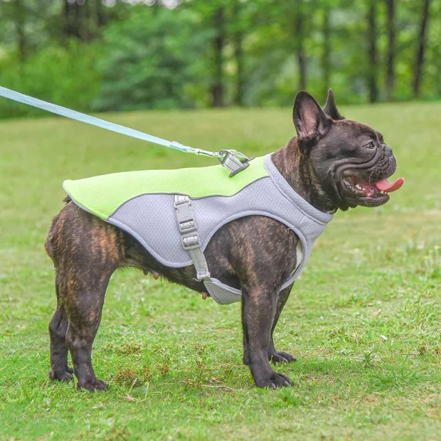 CoolBuddy | Hundekühlbox für heiße Tage - Brezella