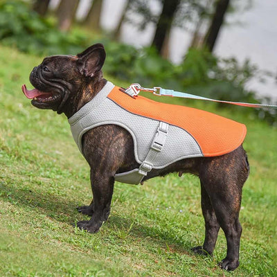 CoolBuddy | Hundekühlbox für heiße Tage - Brezella