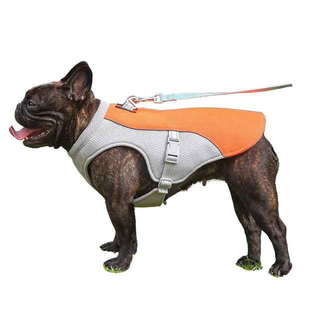 CoolBuddy | Hundekühlbox für heiße Tage - Brezella