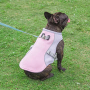 CoolBuddy | Hundekühlbox für heiße Tage - Brezella