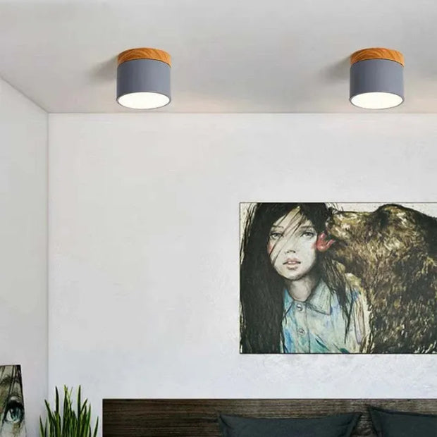 LumiNord | Elegante LED-Deckenlampe im nordischen Look - Brezella