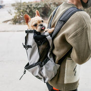TierTrek | Leichte & Bequeme Hundewandeltasche für Reisen - Brezella